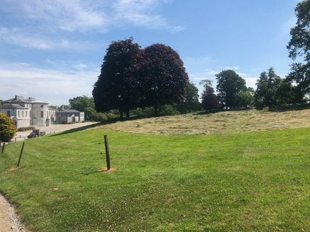 Park approach to house from east