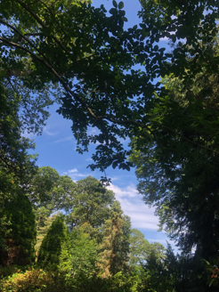 View from west lawn