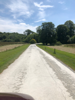 Old Kilmeaden road avenue