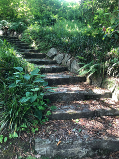 Dutch steps