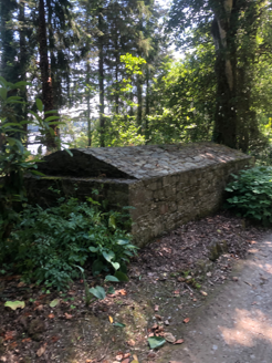 20: Icehouse