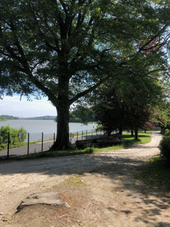 Suir looking towards Greenway