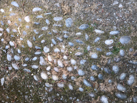 Cobbles on walk