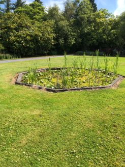 Octagon pond