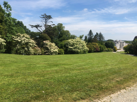 Avenue lawn to house from south east