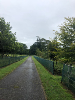 Avenue