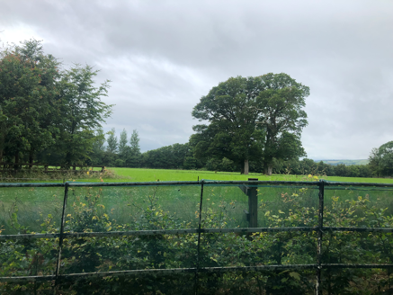 6: Park and woodlands to southwest