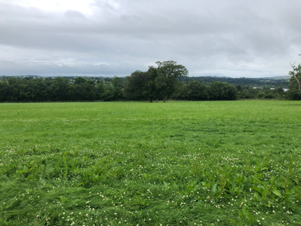 View east to River Suir