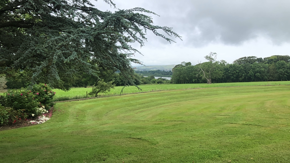 View of River Suir from rear of house to east.jpg