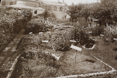 Image, c. 1940, of Botanic Garden north of chapel