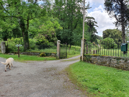5:Old Cappagh secondary entrance from main avenue.