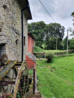 Mill with water wheel,c.1840, to west of Old Cappagh House.
