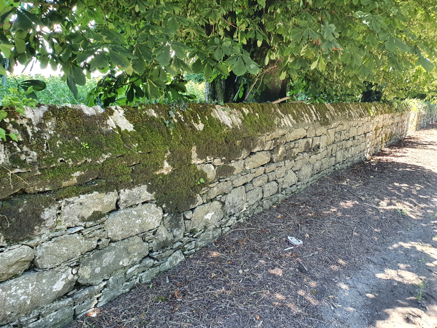 Boundary wall.