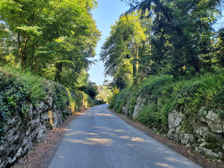 14:New avenue to west.