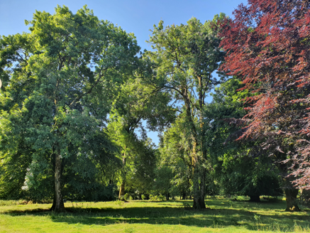 Woodland to south.