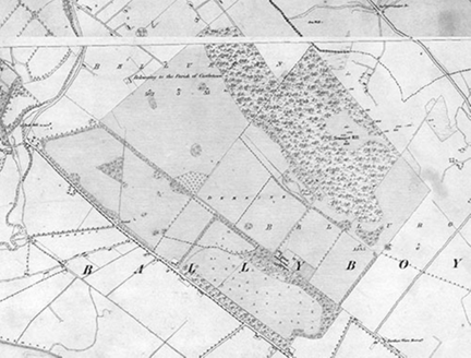 Bellurgan House, Castletown, Co. Louth