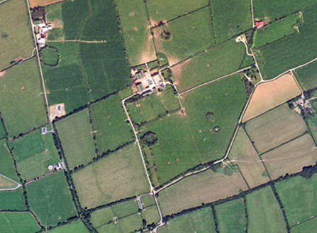 Small aerial image