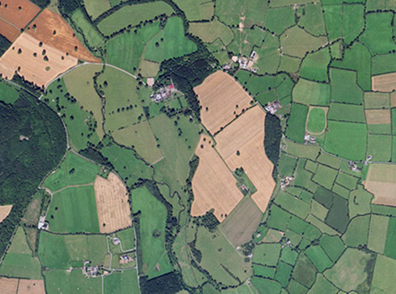 Small aerial image