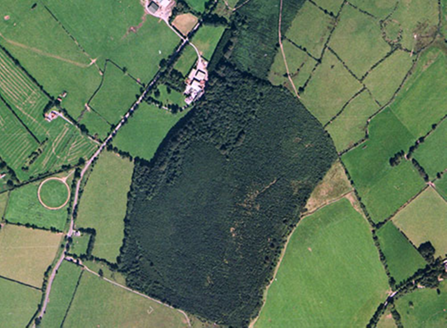 Small aerial image