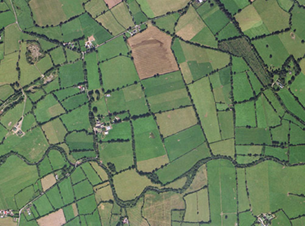 Small aerial image