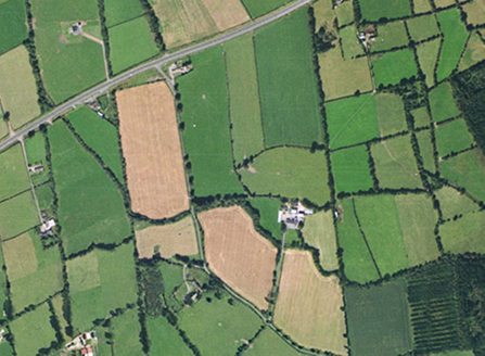 Small aerial image