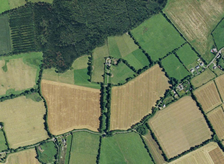 Small aerial image