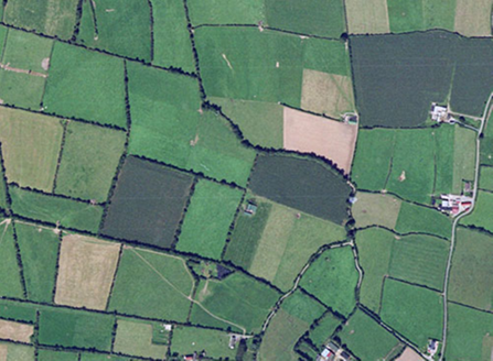 Small aerial image