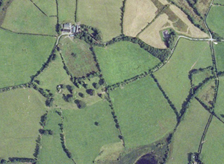 Small aerial image