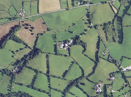 Small aerial image