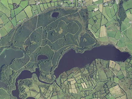 Small aerial image
