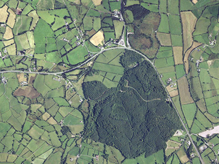 Small aerial image