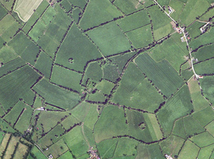 Small aerial image