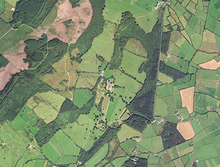Small aerial image