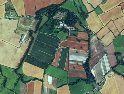 Small aerial image
