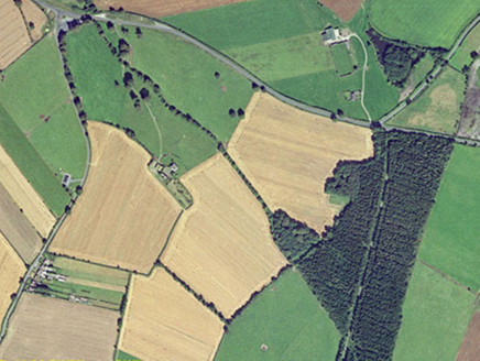 Small aerial image
