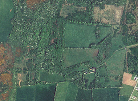 Small aerial image
