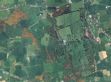 Small aerial image