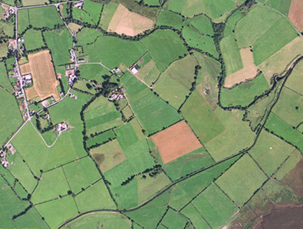 Small aerial image