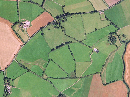 Small aerial image