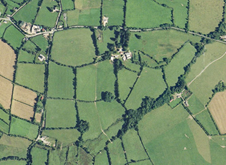 Small aerial image