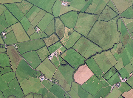 Small aerial image