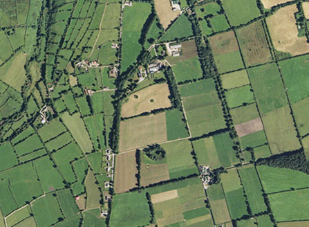 Small aerial image