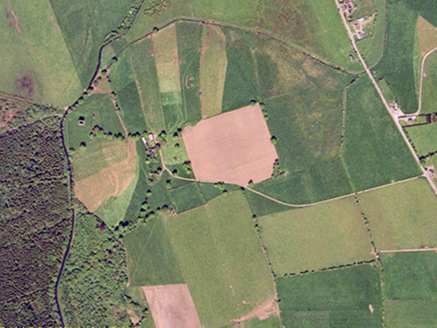 Small aerial image