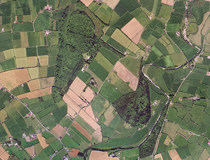 Small aerial image