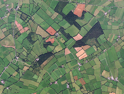 Small aerial image