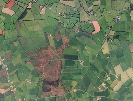 Small aerial image