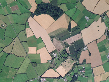 Small aerial image