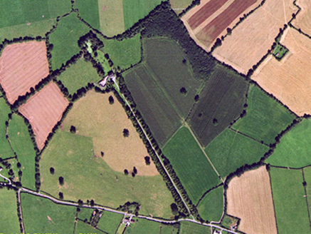Small aerial image