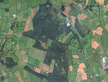 Small aerial image