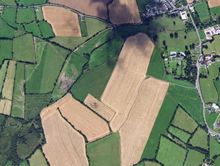 Small aerial image